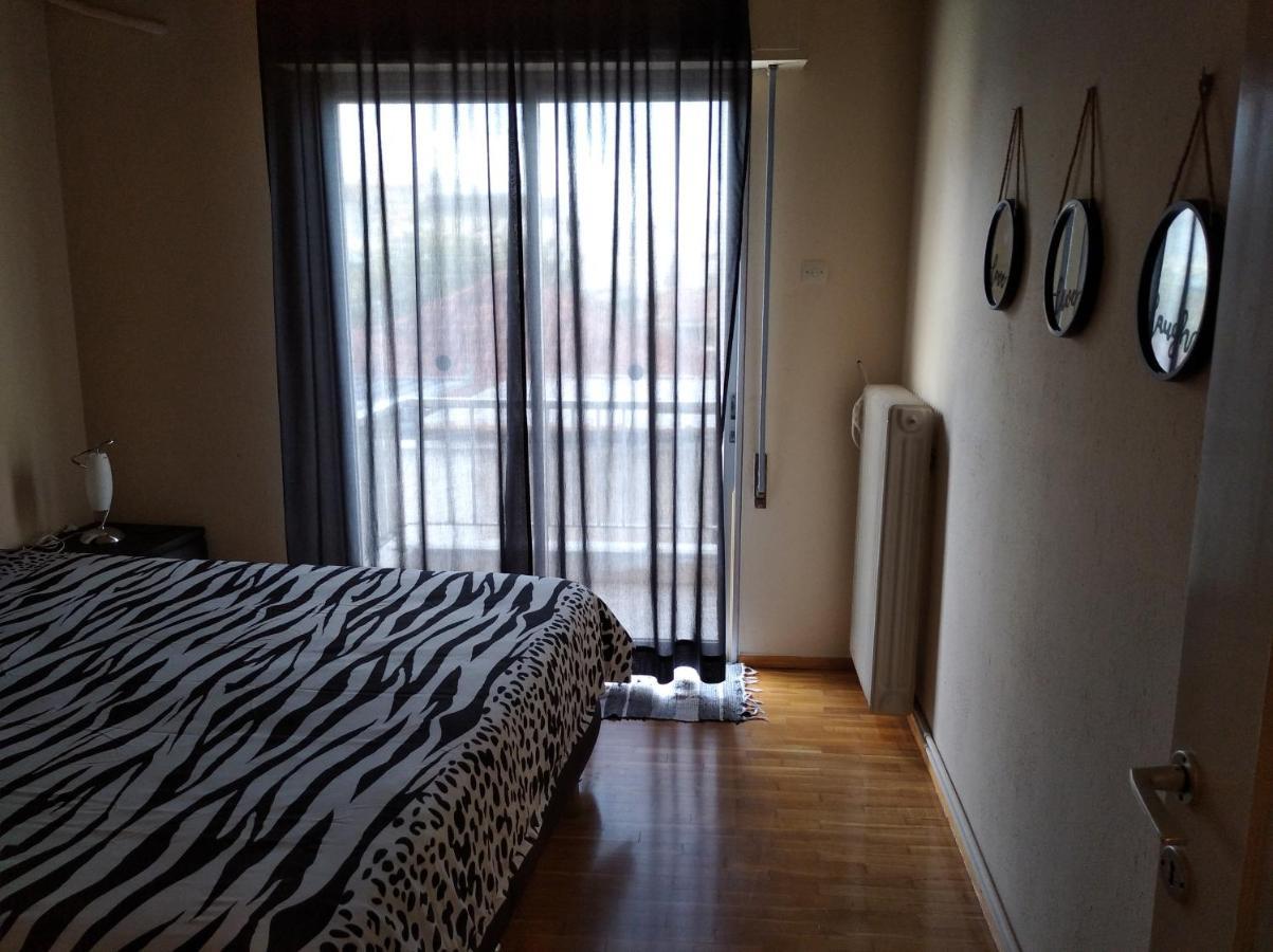 Апартаменти Niki'S House Άνετο Διαμ/Σμα 106Τμ 2 Υπνοδωματίων Волос Екстер'єр фото